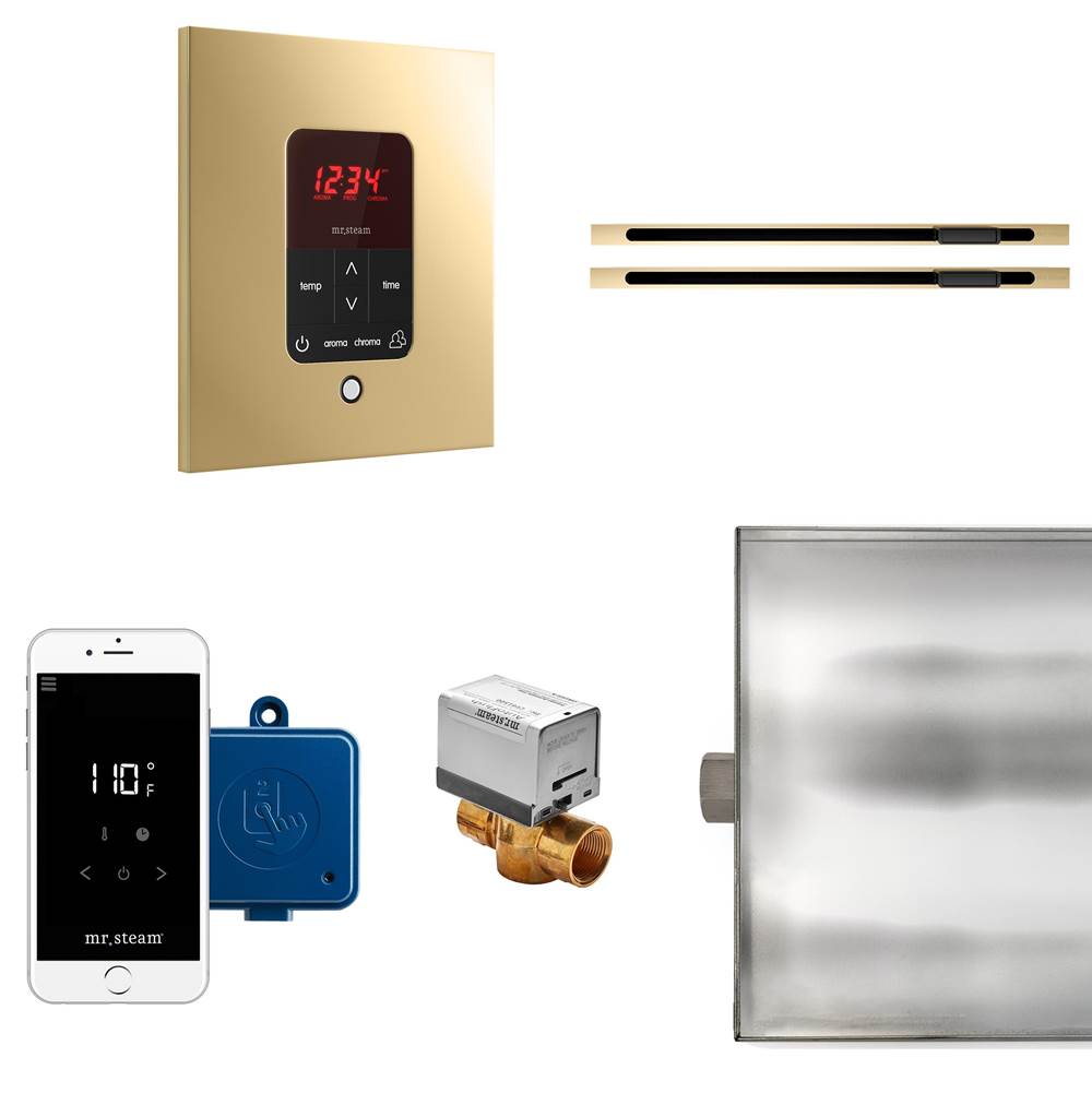 Mr. Steam Butler Max Linear Steam Shower Control Package with iTempoPlus Control and Linear SteamHead in Square Polished Brass